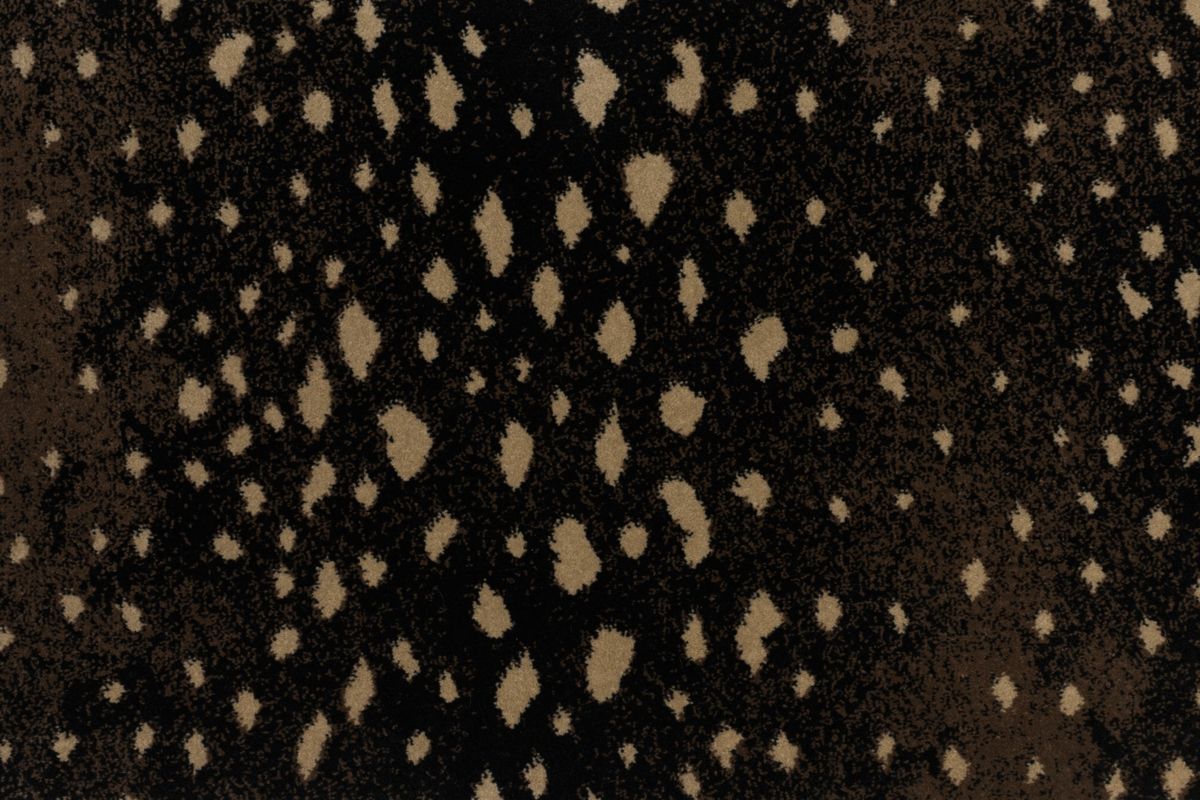 077 Coffee