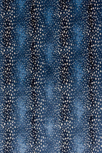 088 Lapis