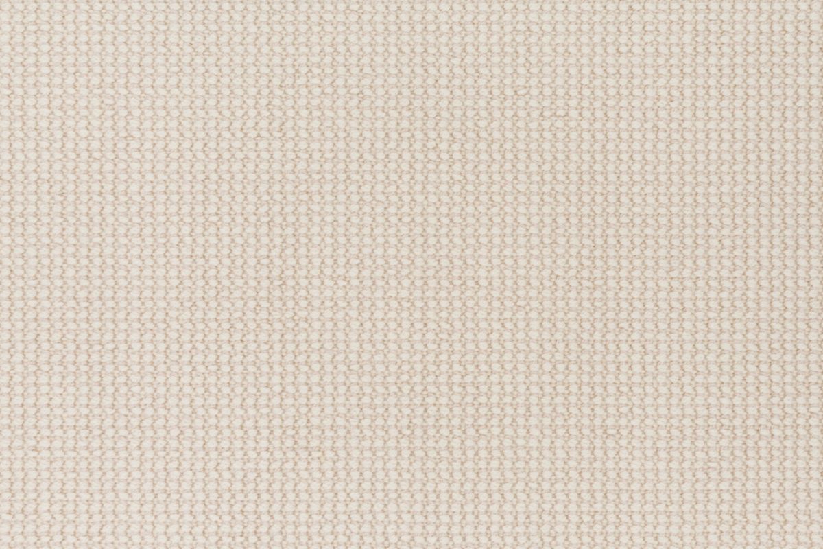72 Canvas