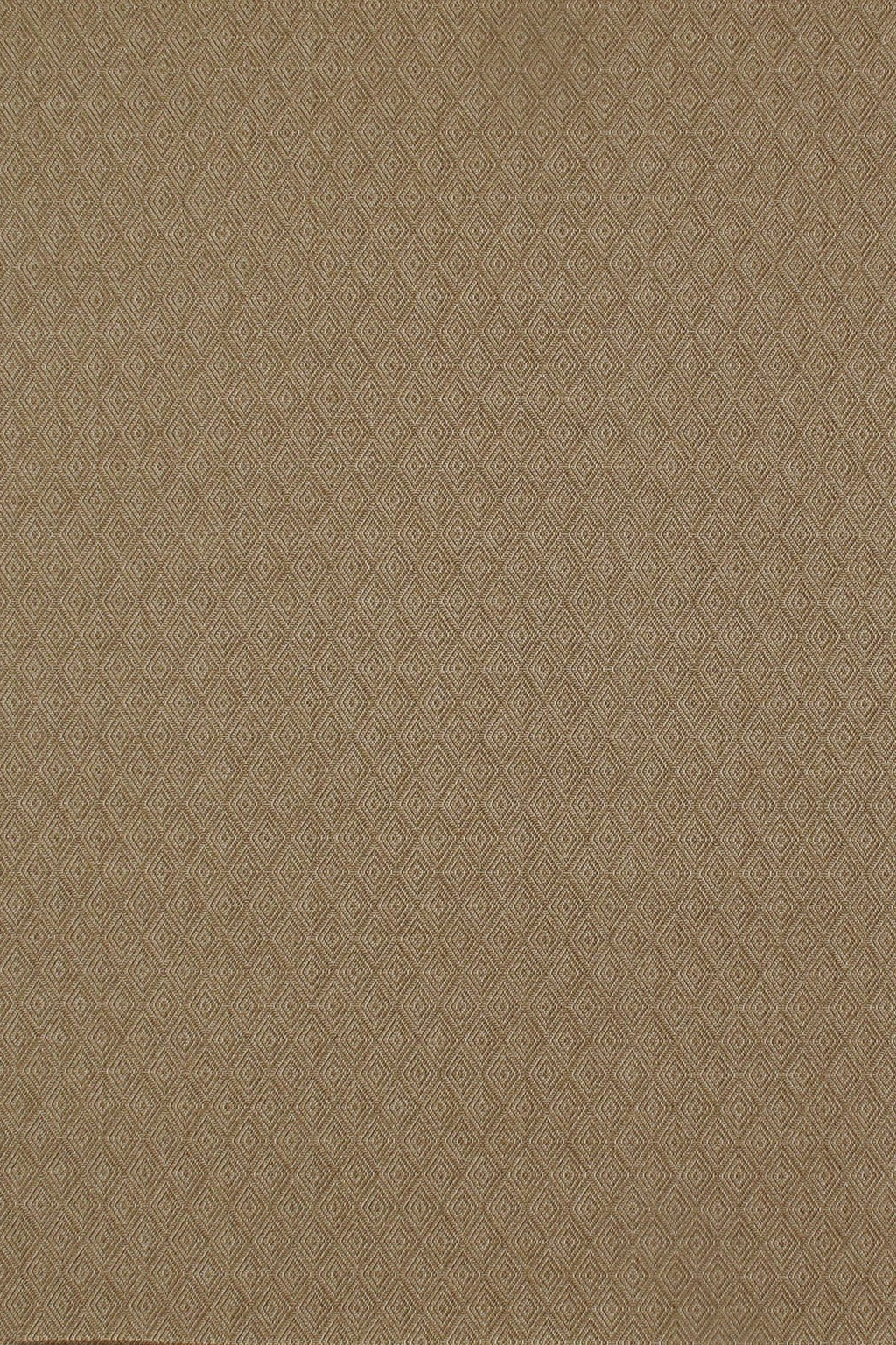 T01000546_ALT2