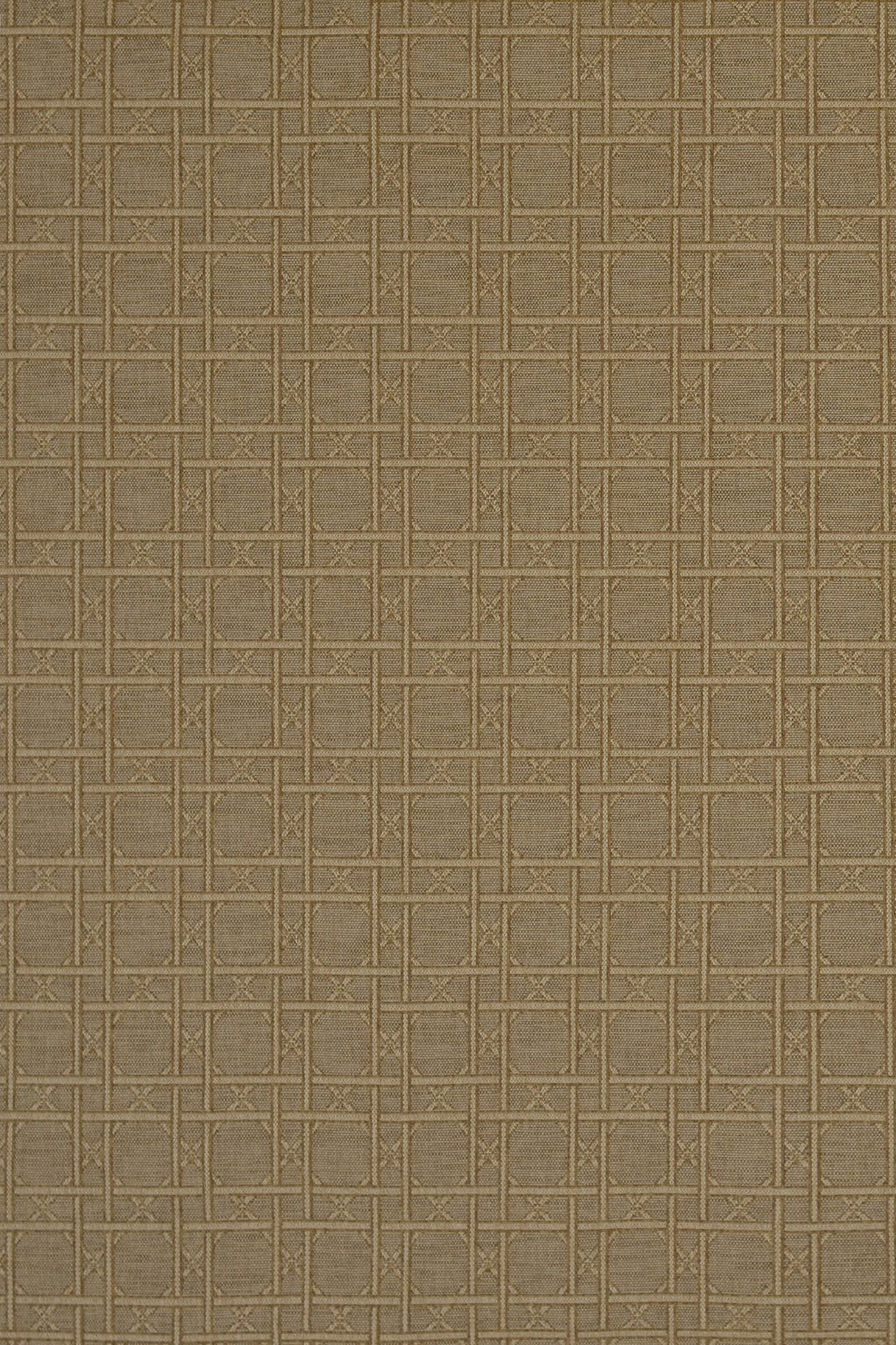 T01001569_ALT2