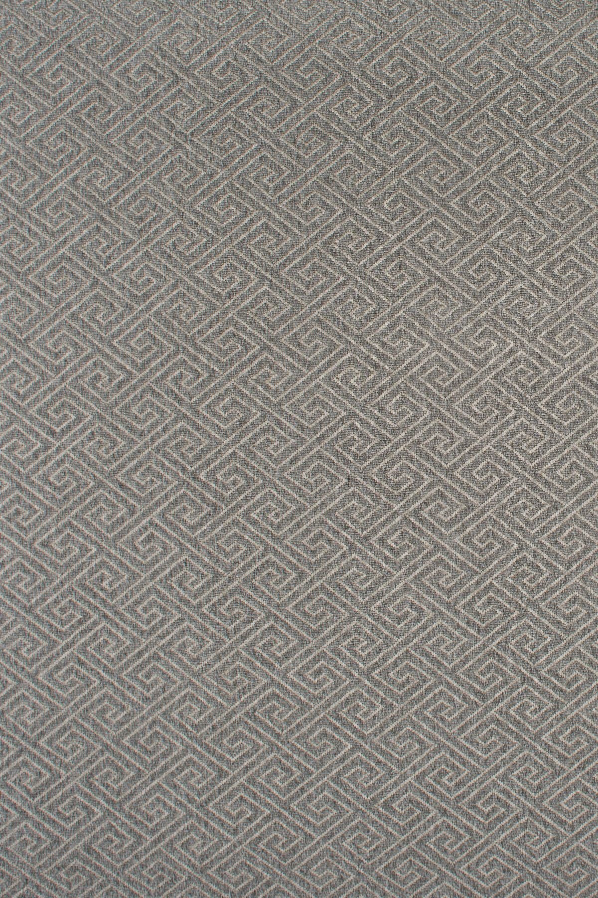 T01007272_ALT2