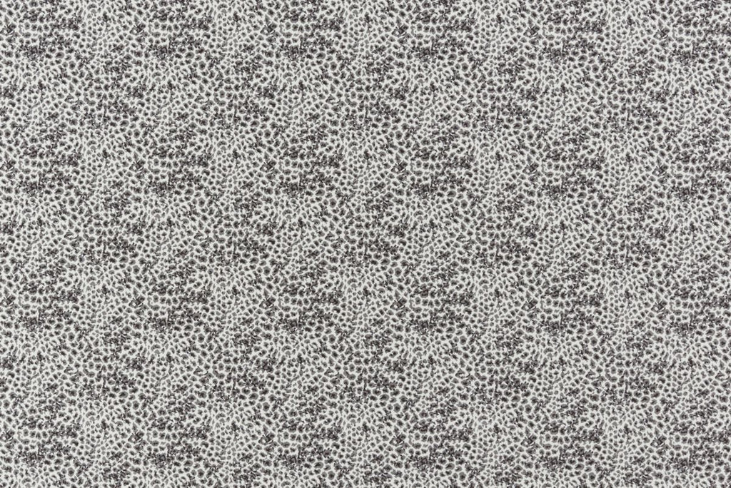 T01016848_ALT2